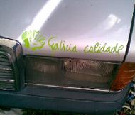 Avatar de Usuario